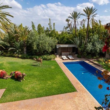 Villa Sahar Palmeraie Avec Piscine Chauffee ! Маракеш Екстериор снимка