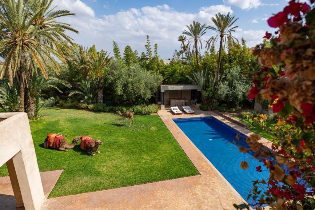 Villa Sahar Palmeraie Avec Piscine Chauffee ! Маракеш Екстериор снимка